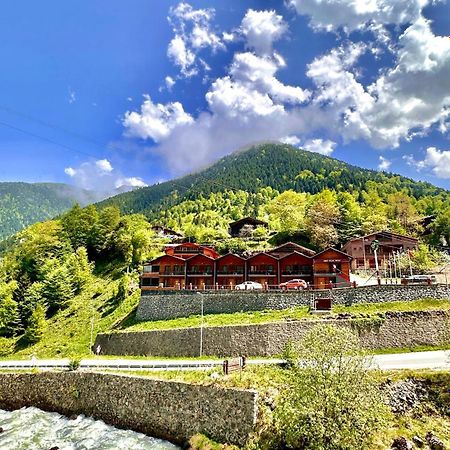 Green Cinar Apart Uzungöl Zewnętrze zdjęcie