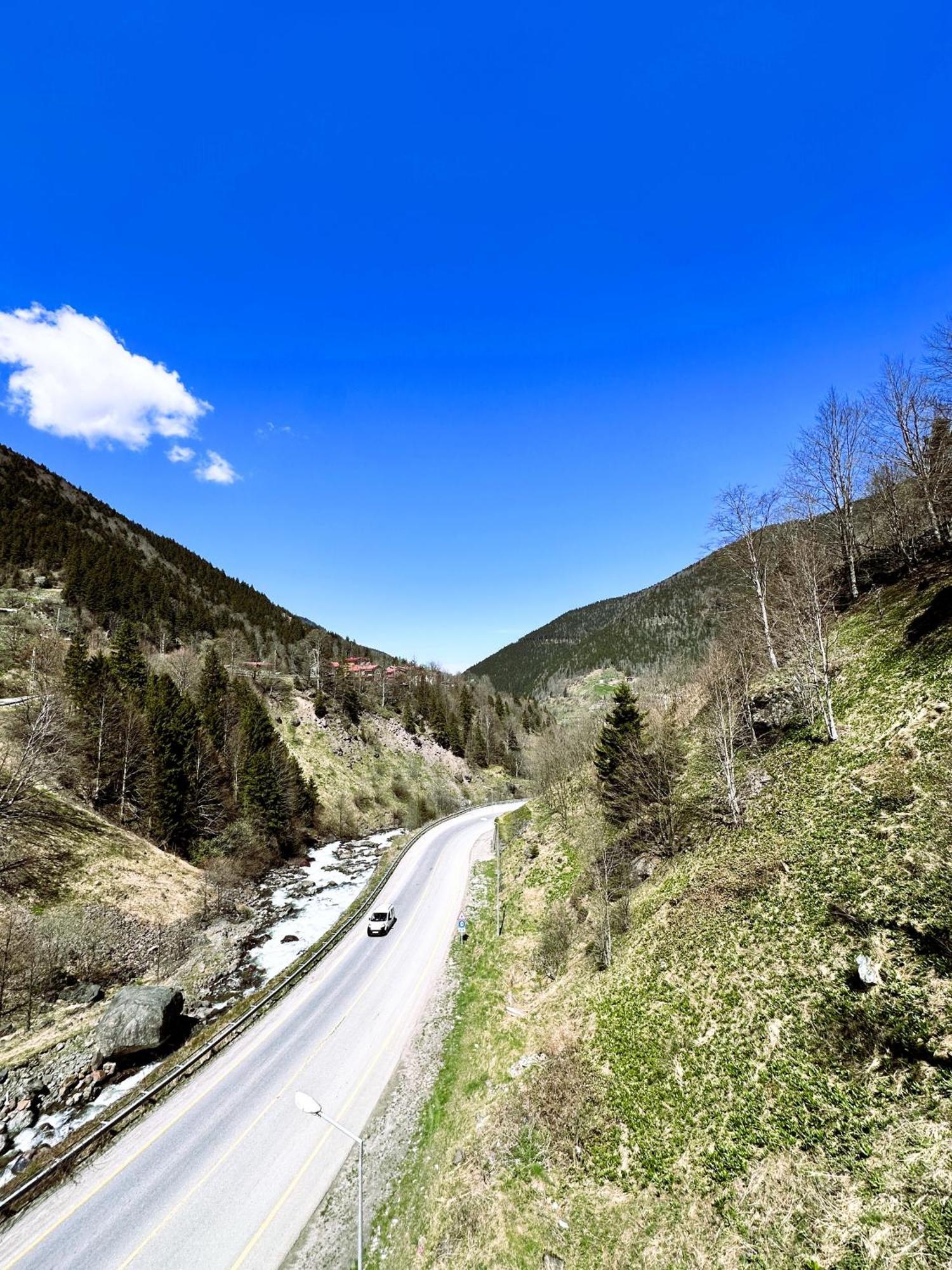 Green Cinar Apart Uzungöl Zewnętrze zdjęcie